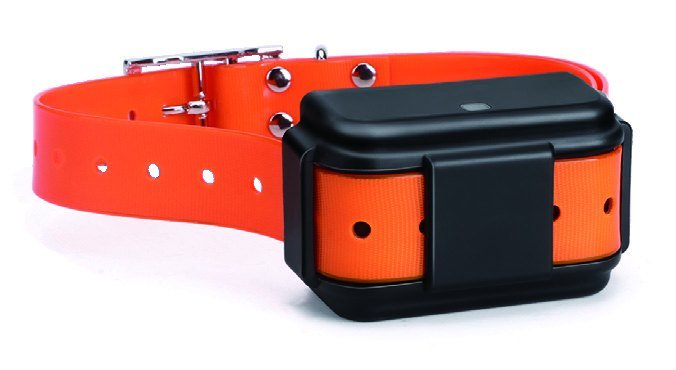 MP50G 4G Animal / Pet GPS Tracker